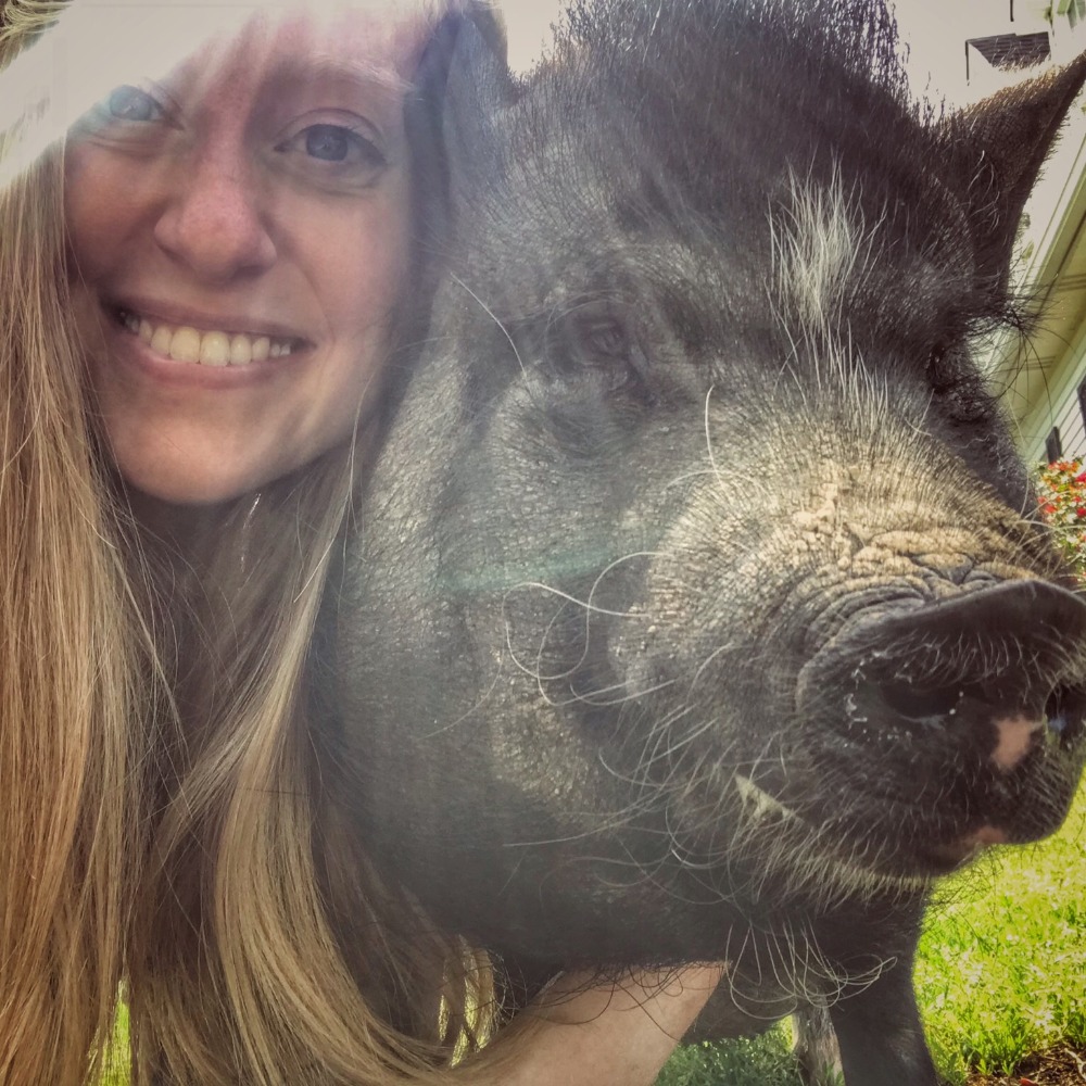 Meet your Posher, Morgan
